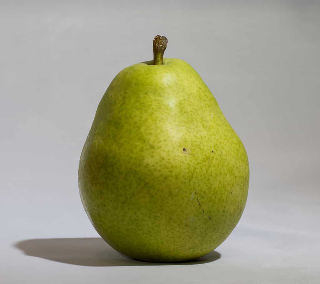 pear