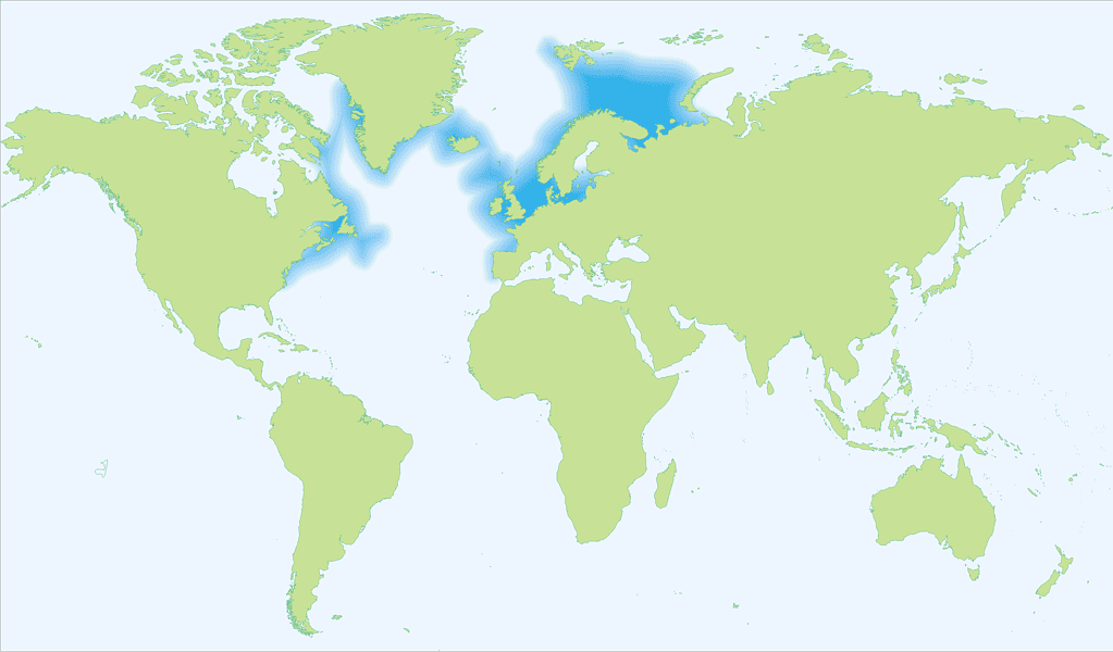 Map of the Atlantic cod's range