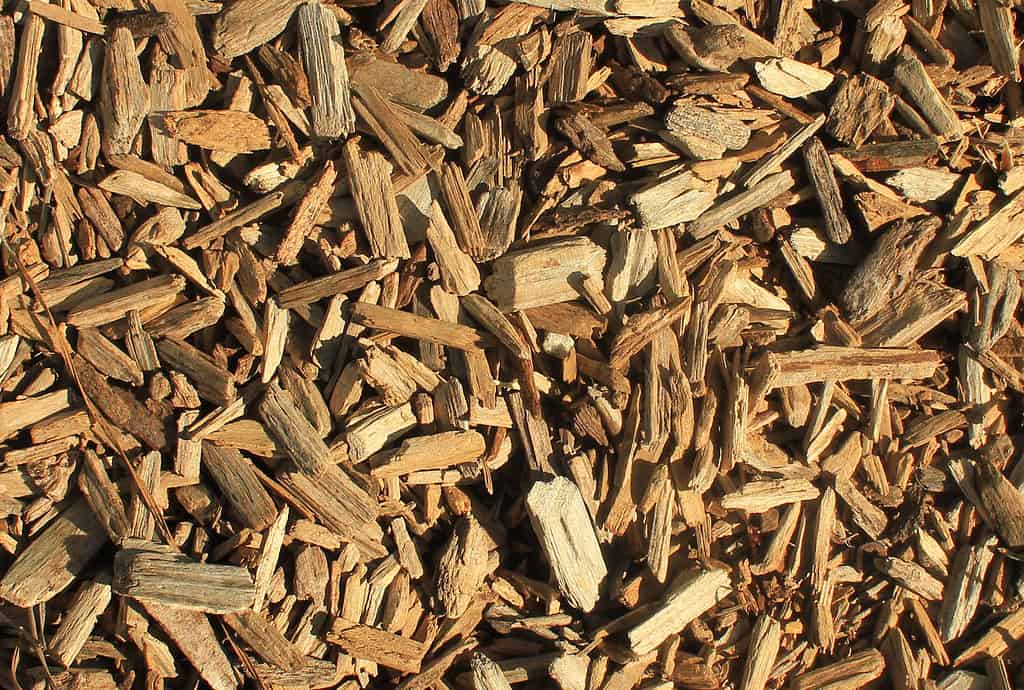 wood chips mulch