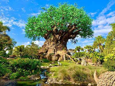 A Tree of Life: Meaning, Symbolism, and Significance