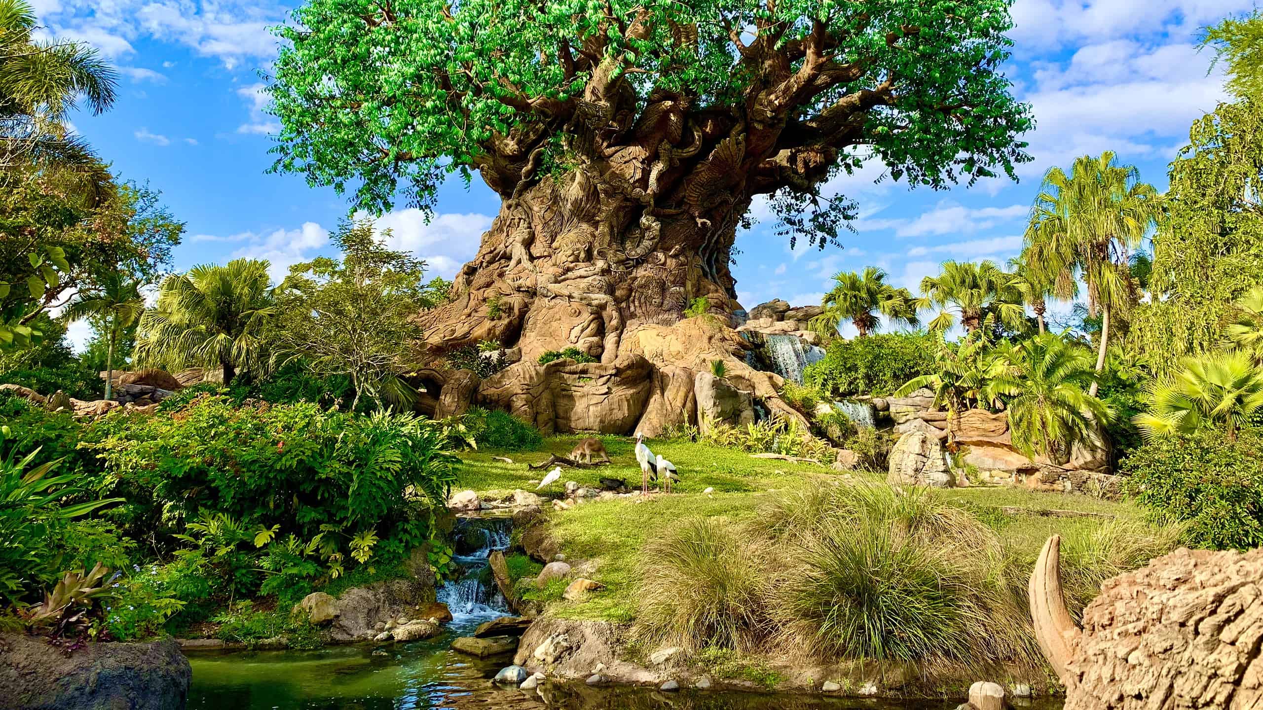 Tree of Life, Disney's Animal Kingdom