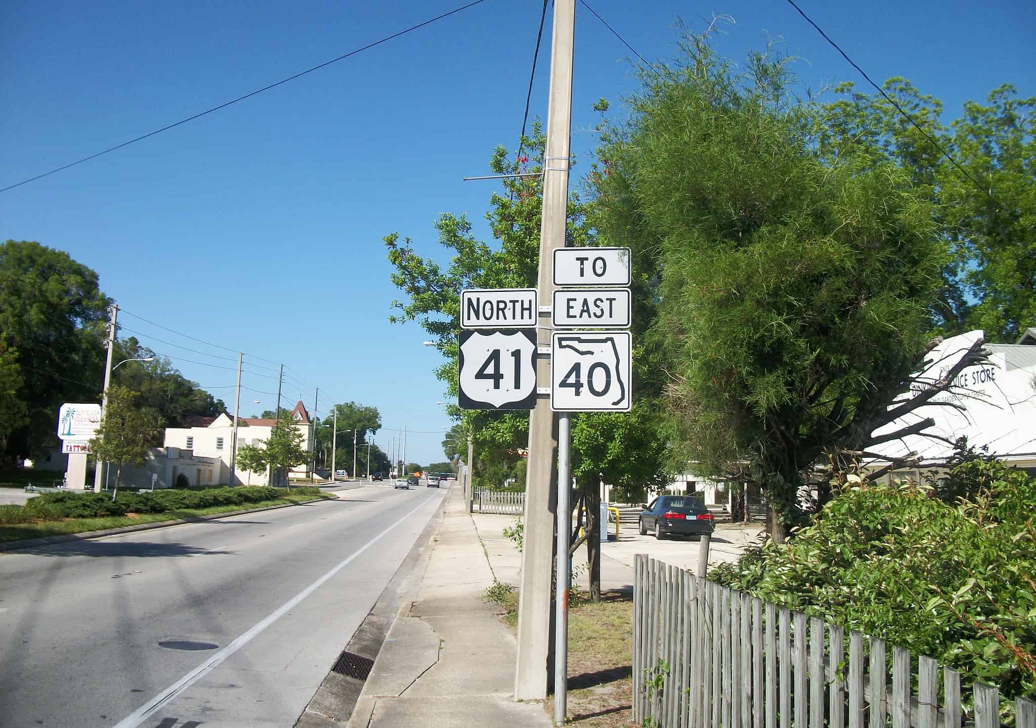 the-6-most-dangerous-roads-in-florida-a-z-animals