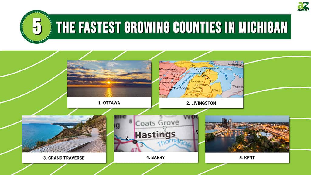 fastest growing counties in michigan