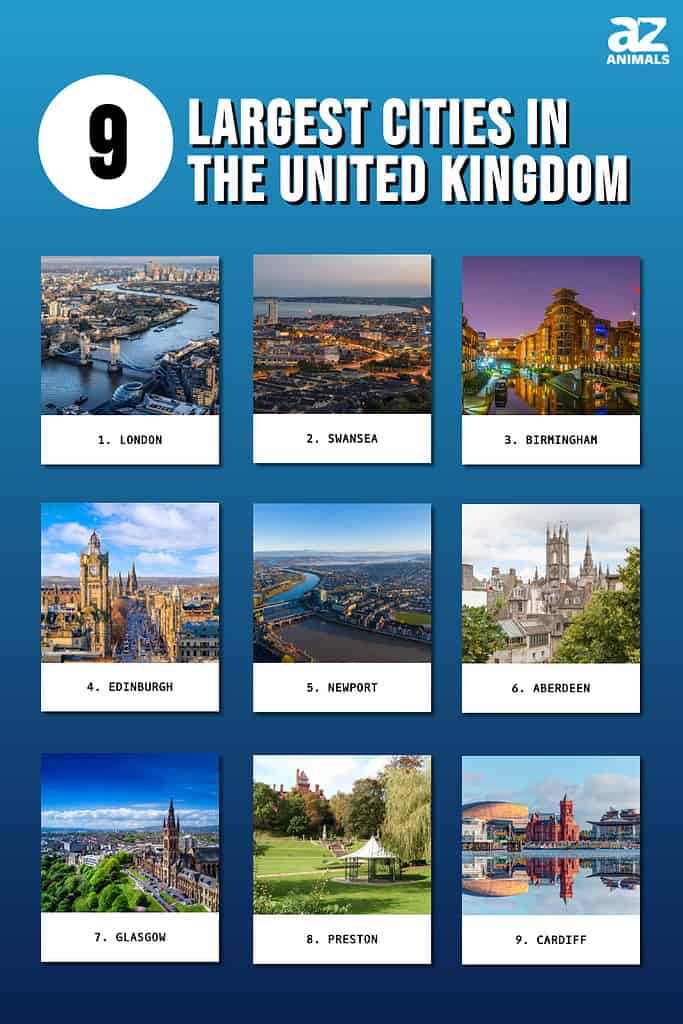 This inforgraphic illustrates the 9 largest cities in the United Kingdom