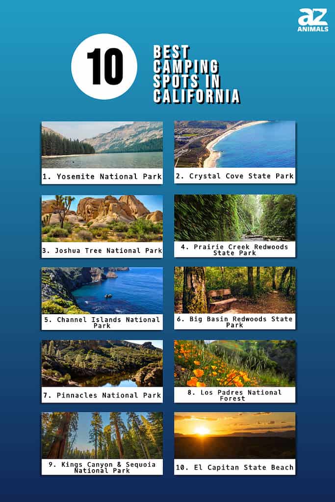Infographic of 10 Best Camping Spots in California