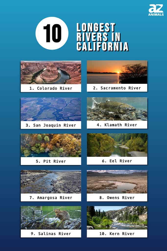 Longest Rivers In California infographic