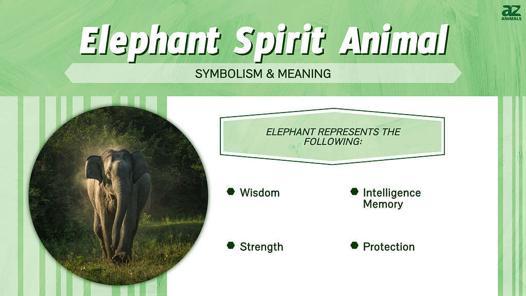 Elephant Spirit Animal infographic