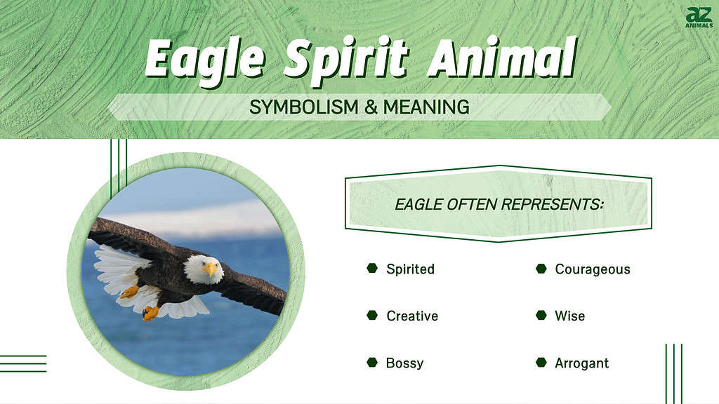 Eagle Spirit Animal infographic