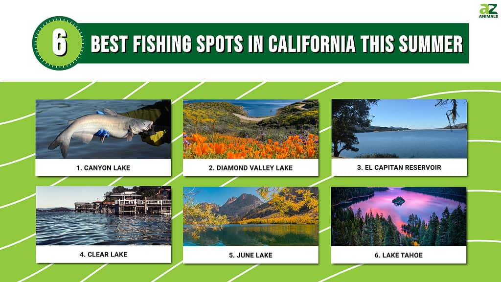 We'll take you to some of the best fishing spots around the globe!