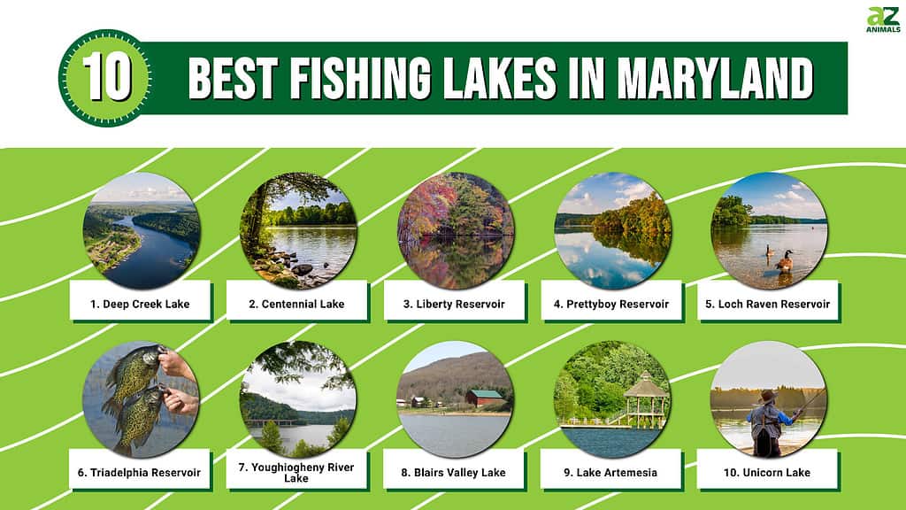 These 10 Beautiful lakes in Maryland are great for anglers and nature lovers.