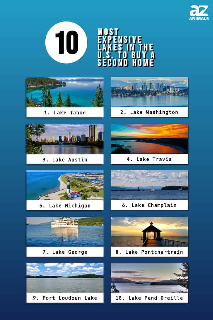 Infographic of 10 Most Expensive Lakes in the U.S. to Buy a Second Home