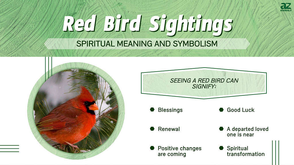 2 Red Cardinals Spiritual Meaning  