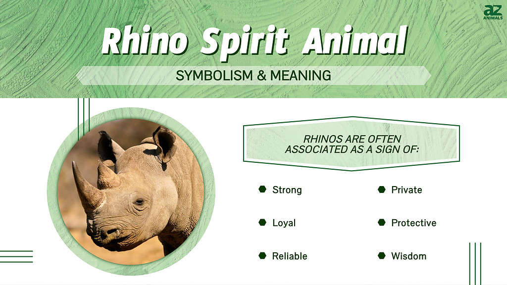 Rhino Spirit Animal infographic