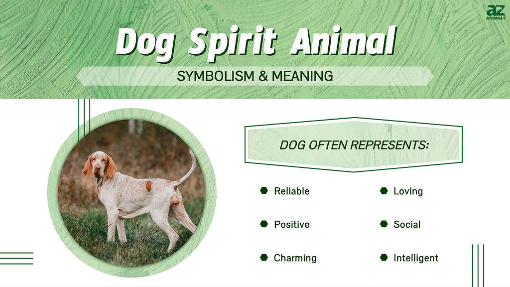 Dog Spirit Animal  infographic