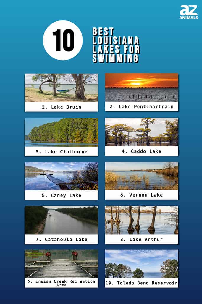 Infographic of 10 Best Louisiana Lakes for Swimming