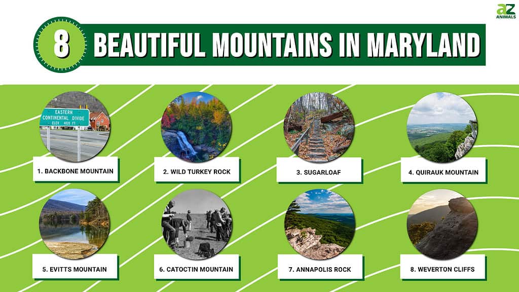 Beautiful Mountains In Maryland infographic