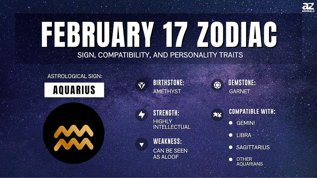Infographic of February 17 Zodiac 