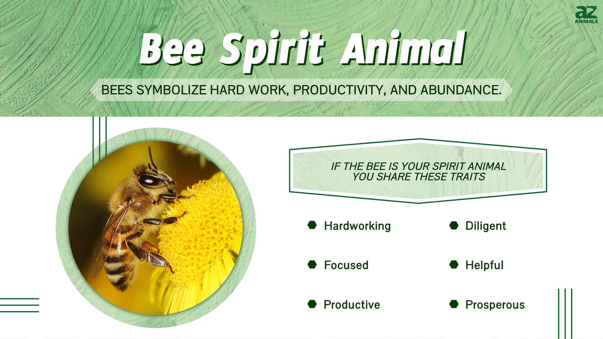 bee-spirit-animal-symbolism-meaning-a-z-animals