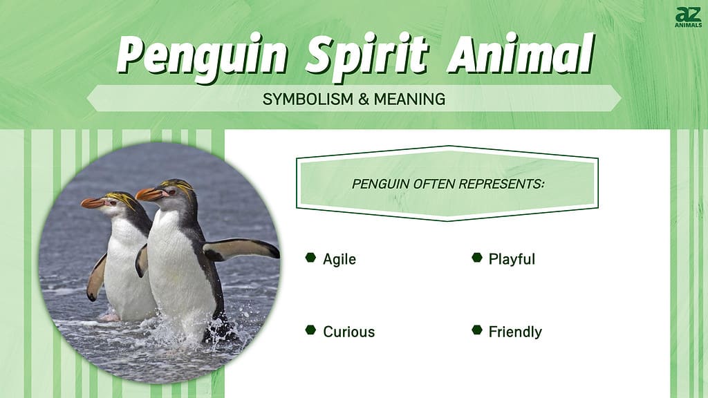 Penguin Spirit Animal  infographic