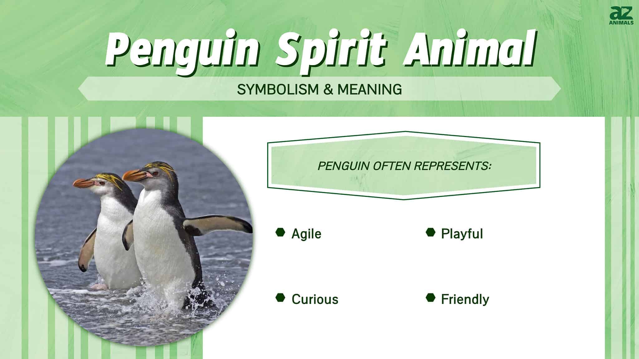 Penguin Spirit Animal Symbolism & Meaning - A-Z Animals