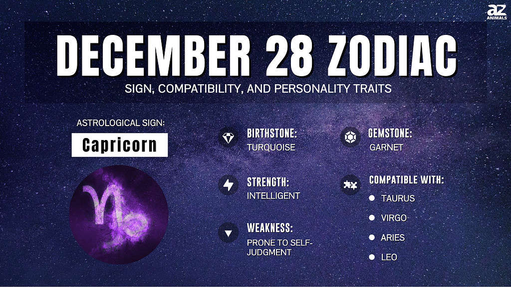 Infographic of December 28 Zodiac