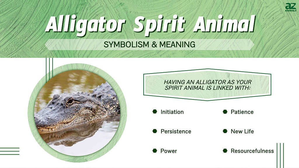 What Does a Crocodile Symbolize  