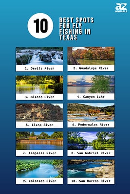 Fly Fishing in Texas: 10 of the Best Spots - A-Z Animals