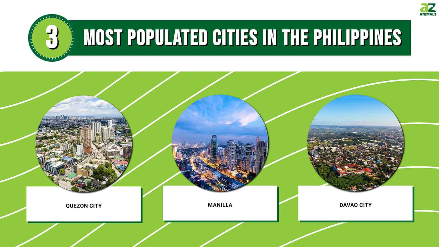 discover-the-3-most-populated-cities-in-the-philippines-a-z-animals