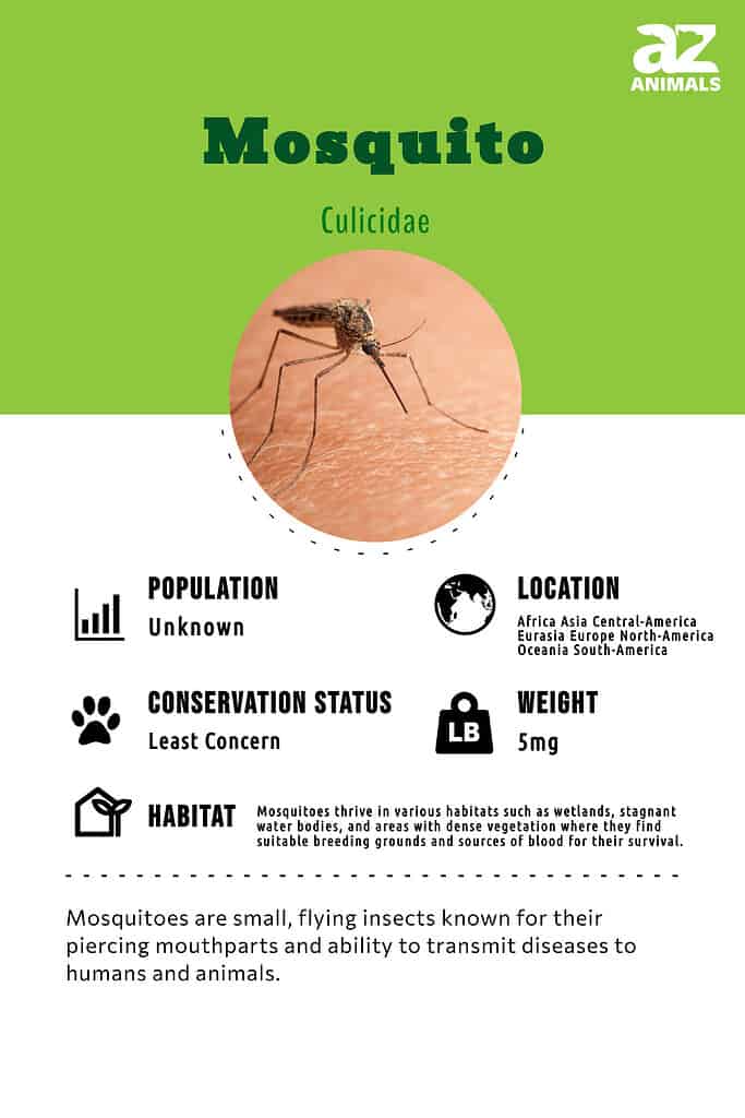 Mosquitoes are small, flying insects known for their piercing mouthparts and ability to transmit diseases to humans and animals.