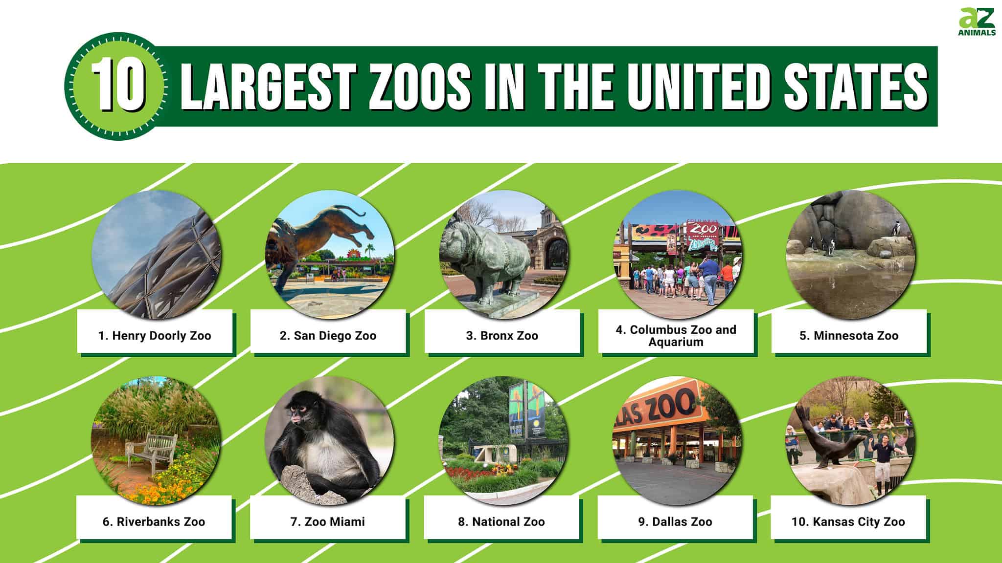 The 10 Largest Zoos in the United States in 2024 AZ Animals