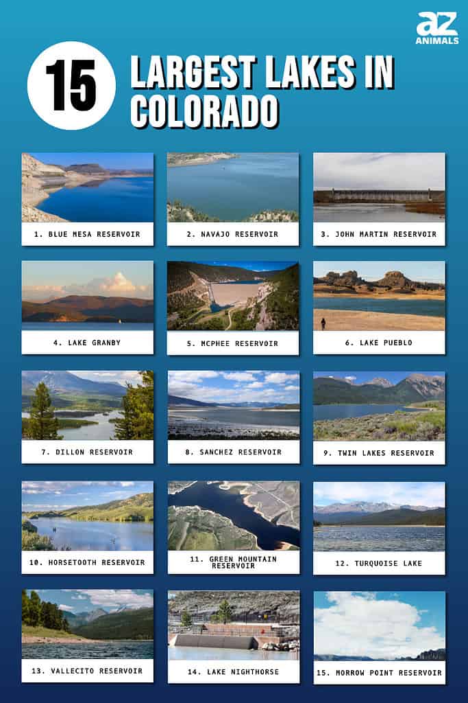 Infographic of 15 Largest Lakes in Colorado