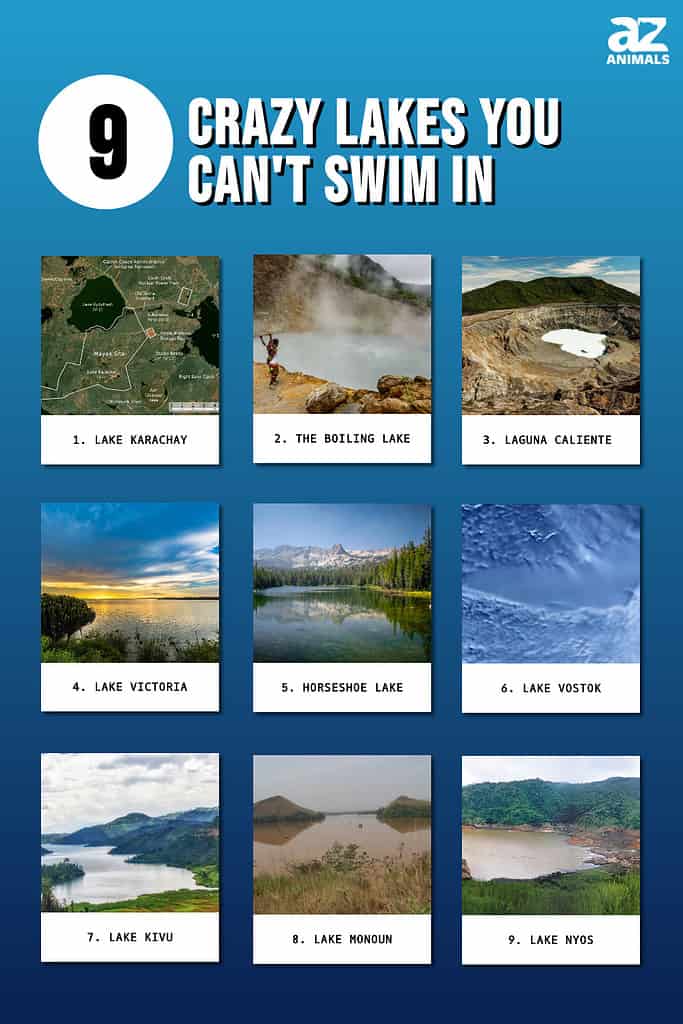 Infographic of 9 Crazy Lakes You Can Not Swim In