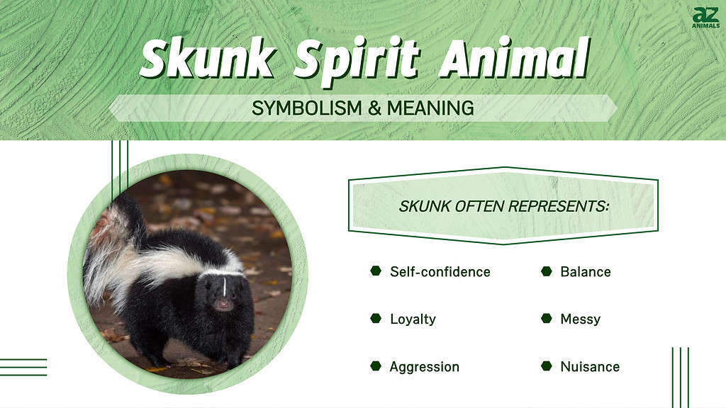 Skunk Spirit Animal infographic