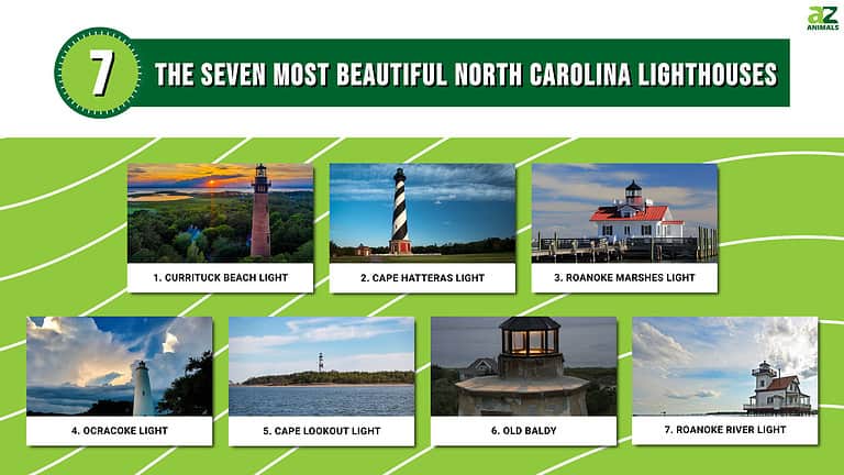 The Seven Most Beautiful North Carolina Lighthouses   Eb96dddd004606bc94f596fad1ab888dd8ed9c53 768x432 