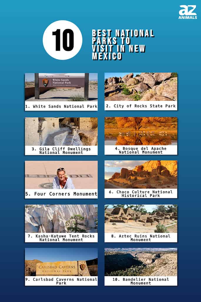 Infographic of 10 Best National Parks to Visit in New Mexico