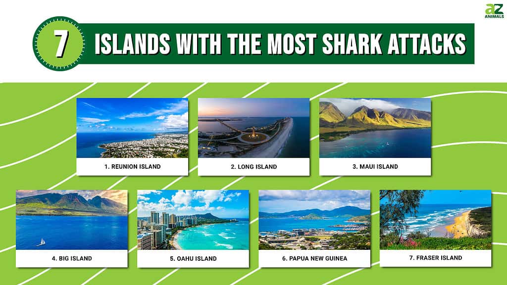 Infographic of 7 Islands With the Most Shark Attacks