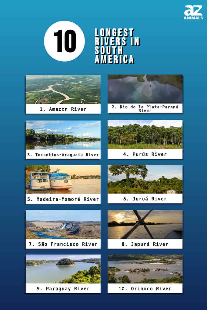 Infographic of 10 Longest Rivers in South America