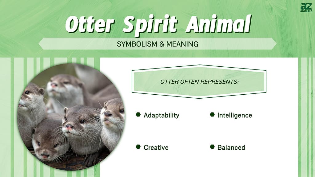 Otter Spirit Animal  infographic