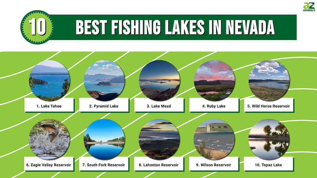 These 10 Lakes in Nevada are great for anglers and nature lovers alike
