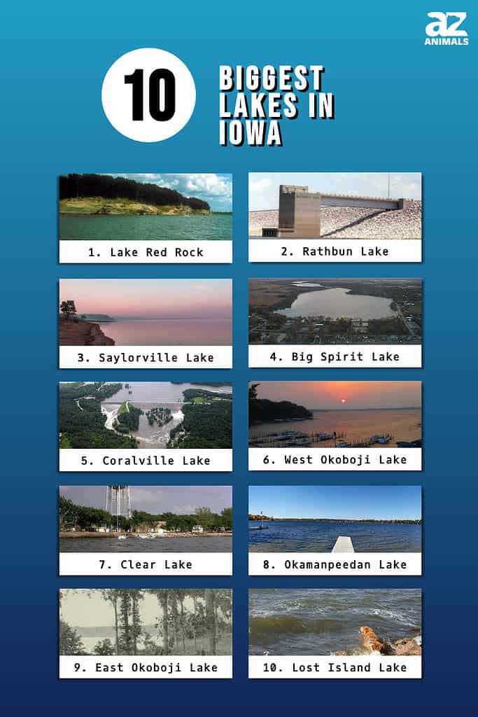 Biggest Lakes in Iowa infographic