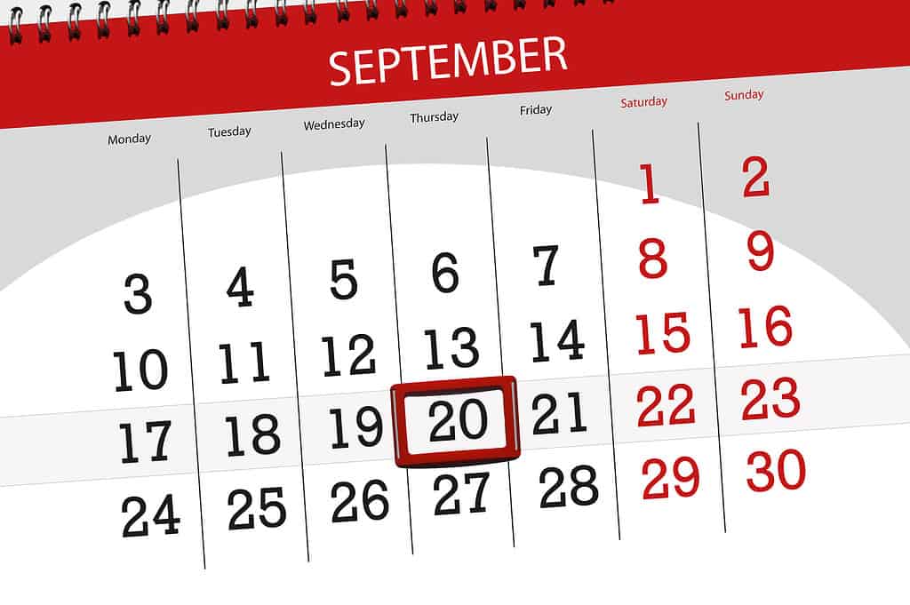 Calendar, Circle, Number 20, September