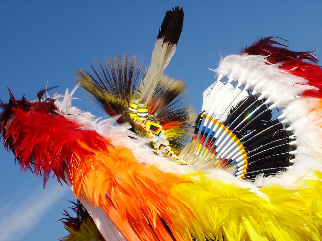 White Feathers Meaning - Funeral Inspirations - Funeral Ideas and Advice