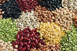 Discover the 7 Best Legumes to Plant In June Picture