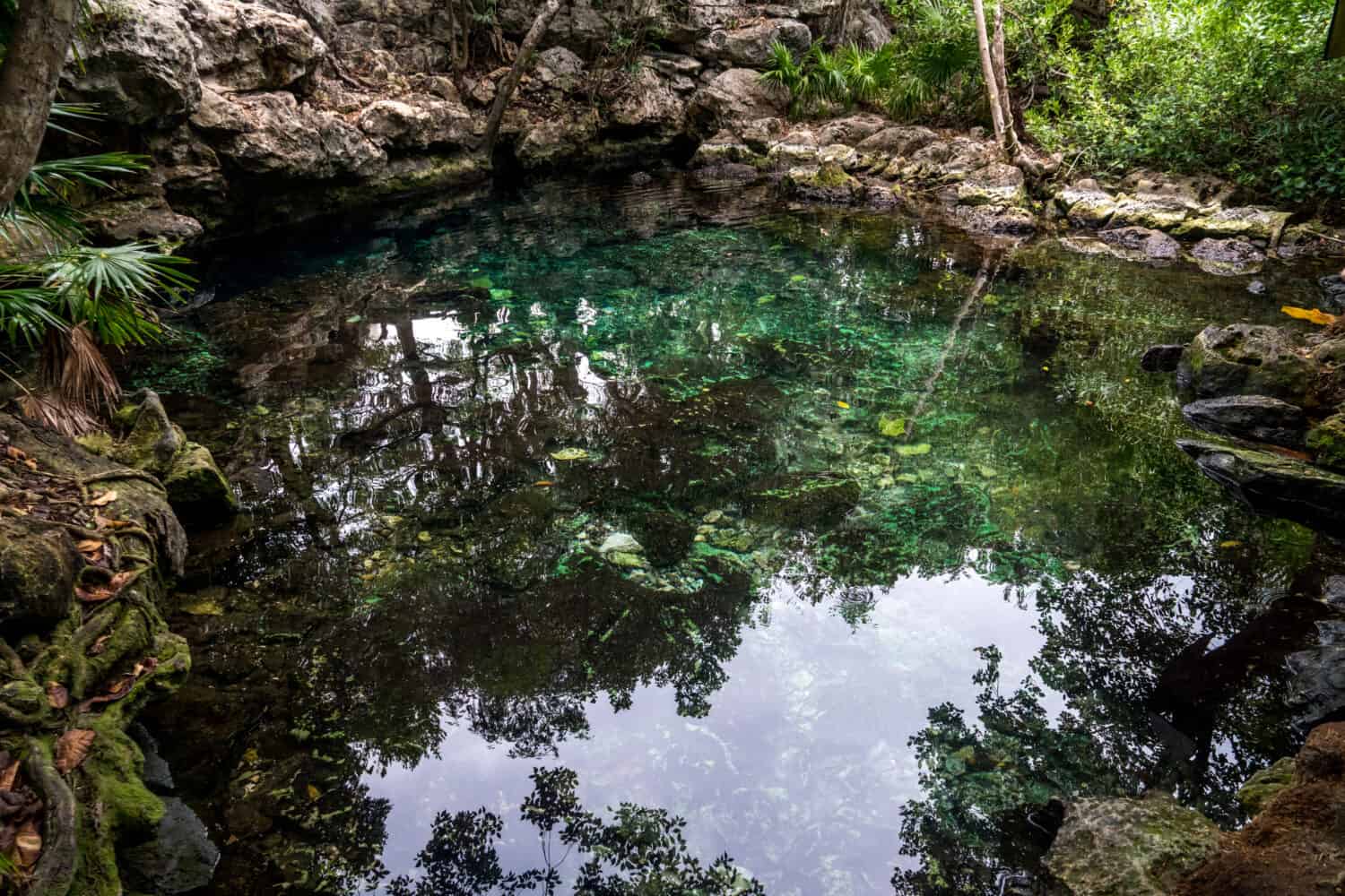 Cenote in Yucatan, Mexicodos ojosCenote Xunaan-Ha