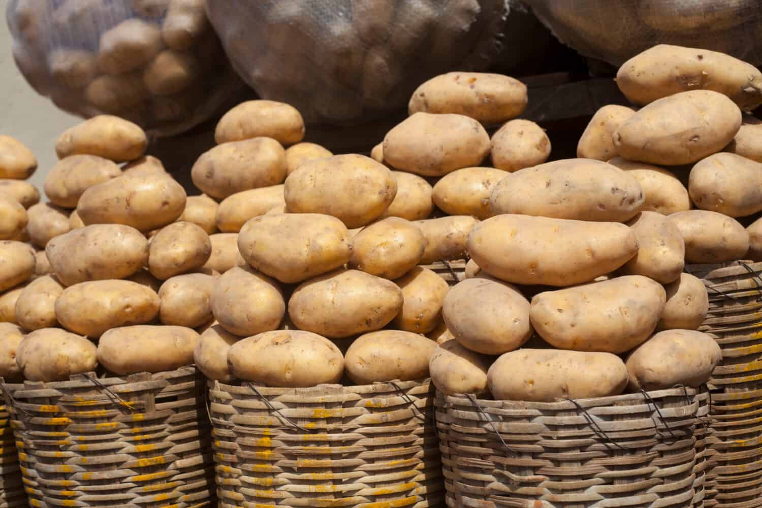Baskets of fresh Irish Potatoes
