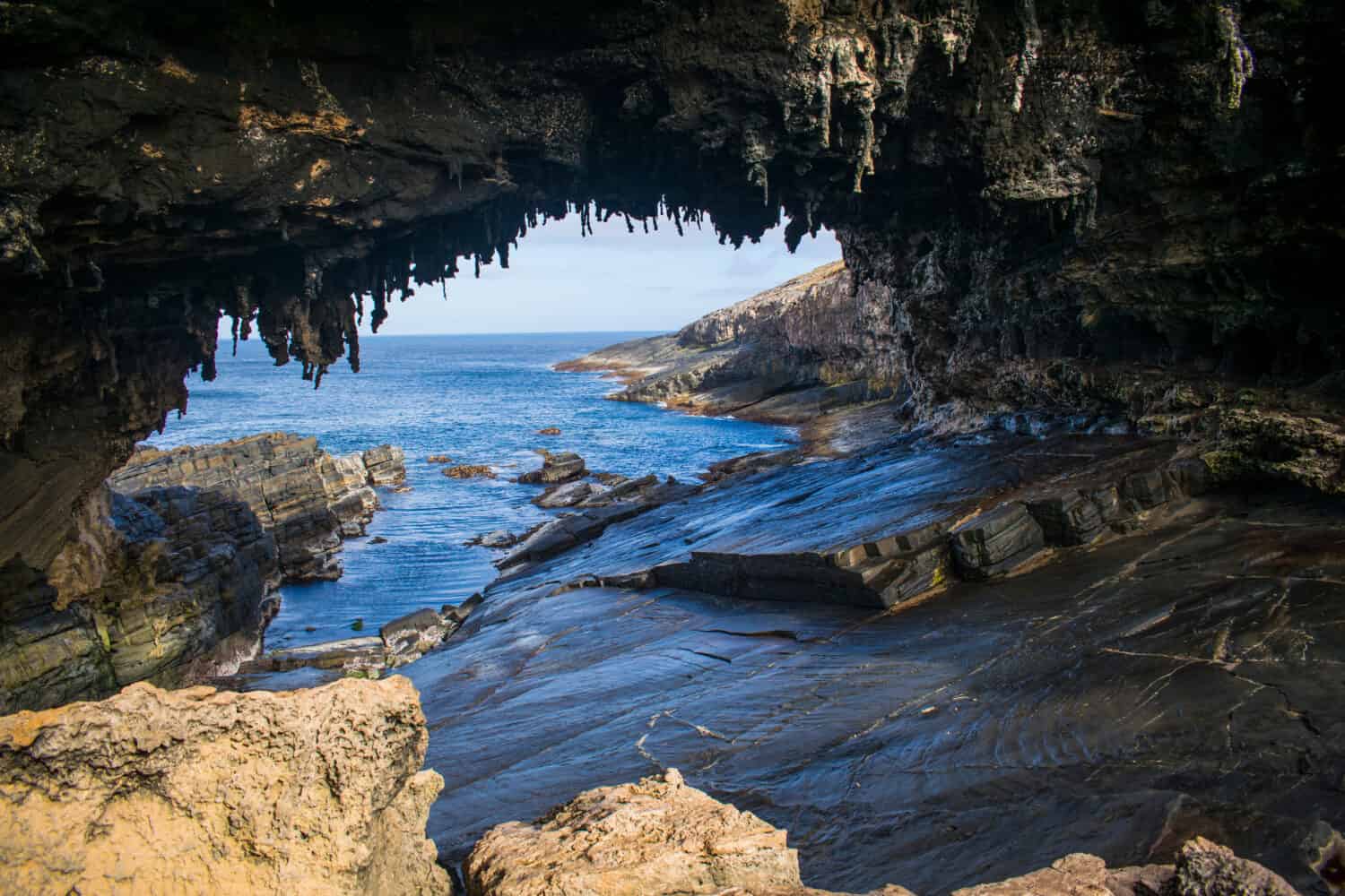 Admirals arch on kangaroo island cave South Australia holiday destination eroded stalactites 