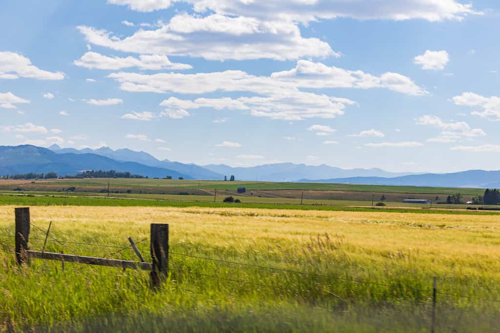 Bright blue, yellow, and green summer tones from a highway near Ennis, Montana, USA.