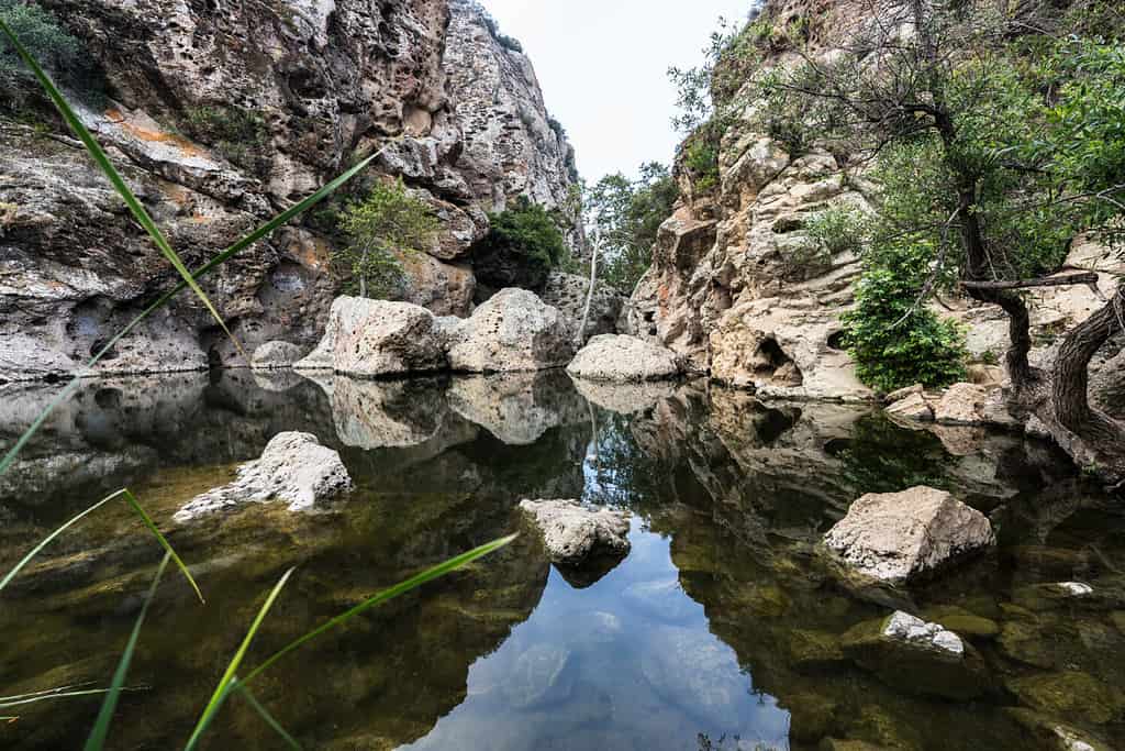 Rock Pool picnic area at Malibu Creek State Park in the Santa Monica Mountains near Los Angeles, California.