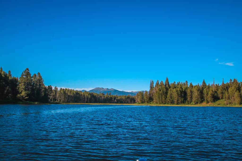 View of Mountains and Pine Trees from Lake Cascade in Donnelly, Idaho