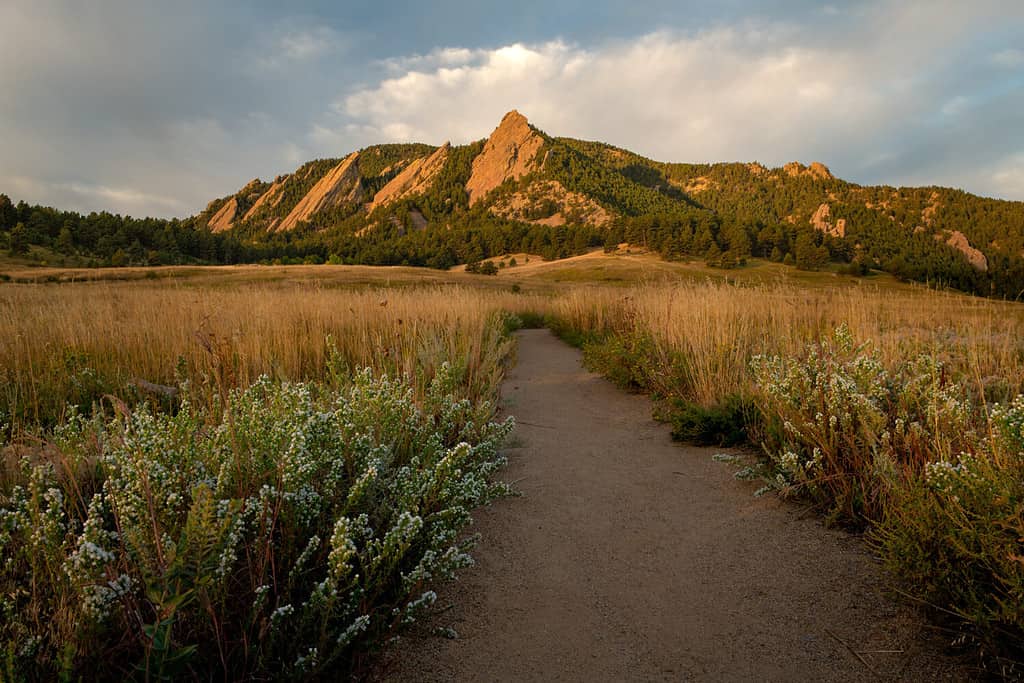 A hiking path leads to the Flatiron Mountains and adventure in Boulder Colorado's Chautauqua Park.